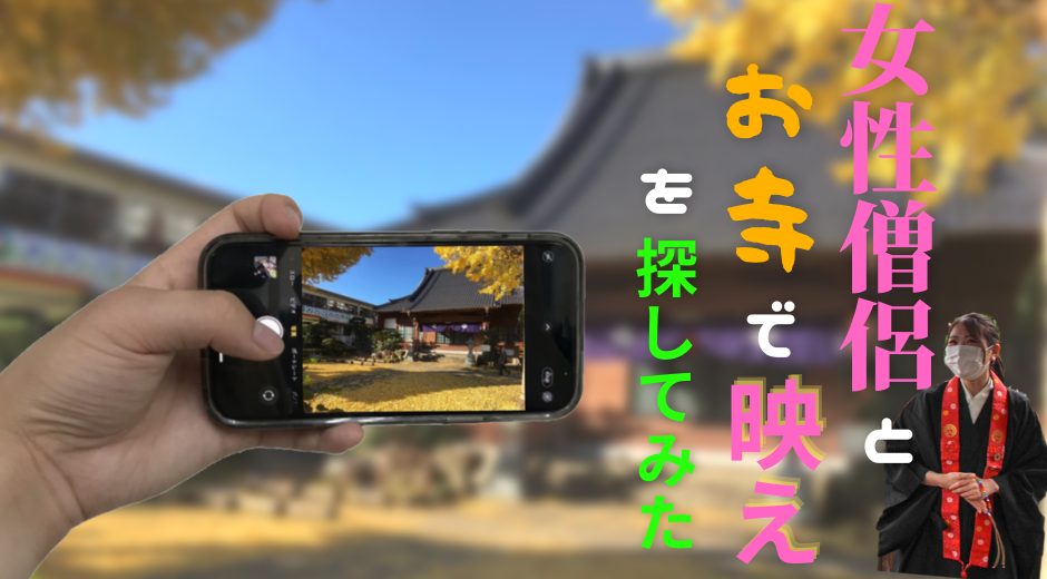 お寺で 映え を探してみた バズプロ研究所 未来ダイバー